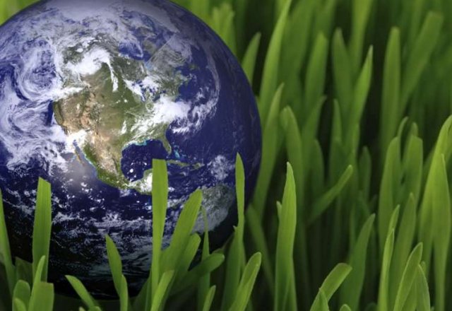 Sustentabilidade